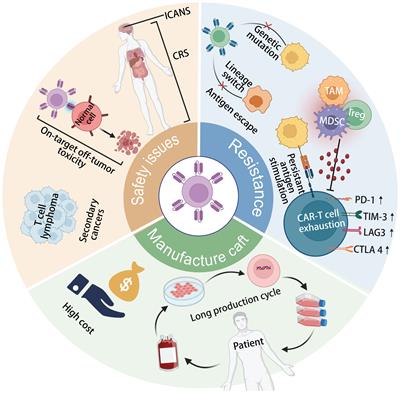 Charting new paradigms for CAR-T cell therapy beyond current Achilles heels